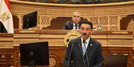 محمد رزق: المشروعات الصغيرة والمتوسطة خط الدفاع الأول في مواجهة البطالة والفقر