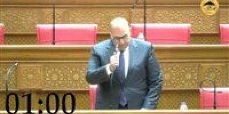النائب أحمد الشناوي: المنحة الاستشارية الأوروبية تعكس الثقة الدولية في قدرات الدولة المصرية