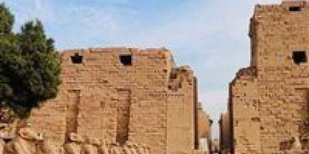 غرفة السياحة: ما فيش مستثمر بدون حوافز والأموال الساخنة لا تفيد