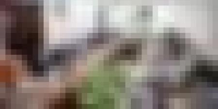 عجال يتابع ملفات التعاون الطاقوي مع النيجر وكوت ديفوار
