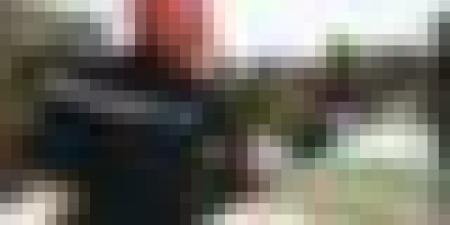 حرائق جيجل : الوزير الأول يشارك في تشييع جثامين الضحايا