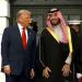 «ترحيب استثنائي».. ترامب يستقبل ولي العهد السعودي في البيت الأبيض|صور