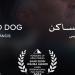 "كلب ساكن" يفوز بجائزة أفضل فيلم في مسابقة آفاق السنما العربية بمهرجان القاهرة السينمائي الدولي الـ46