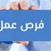 فرص عمل بالجيزة برواتب تصل لـ15 ألف جنيه.. وظائف متنوعة وتقديم للشباب