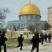 مستوطنون يقتحمون باحات المسجد الأقصى.. واعتقال ما لا يقل عن 23 فلسطينيا بالضفة