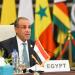 وزير الخارجية: مصر تستضيف أكثر من 10 ملايين لاجئ ومهاجر ويتمتعون بالخدمات الأساسية دون تمييز