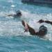 قائمة منتخب مصر للسباحة المشاركة في بطولة إفريقيا وهران 2026 رسميًا