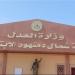 محكمة جنايات دمنهور تحجز قضية رئيس نادي الجزيرة للحكم في 3 يونيو