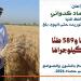 محافظ المنيا: توريد القمح يتخطى 167 ألف طن منذ انطلاق موسم 2026