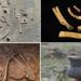 اكتشاف قطع ذهبية عمرها 3500 عام ومقابر من العصر البرونزى فى المجر