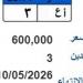 طرح لوحة «ا ع- 3» بسعر 600 ألف جنيه
