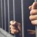 تأجيل محاكمة مطرب المهرجانات إسلام سنوفا في قضية حشيش لـ7 يونيو
