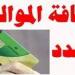 رسميًا.. خطوات إضافة الزوجة والأبناء على بطاقة التموين 2026 (حتى 4 أفراد)