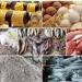 خريطة الأسعار اليوم في مصر.. تراجع الدواجن والبيض وارتفاع الذهب والطماطم