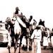 حكومة مصغرة.. قوافل الحج عبر سيناء جسدت عظمة الحضارة المصرية