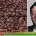 ألكسندر ماسني: النينيو تهدد بتصدعات في المحيطات وتداعيات خطيرة على الأمن الغذائي والصحي