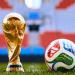 ببغاء يتوقع نتيجة مباراة مصر وبلجيكا في كأس العالم (فيديو)