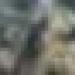 ارتفاع حصيلة شهداء غزة إلى 73326 شهيدا و 173997 مصابا