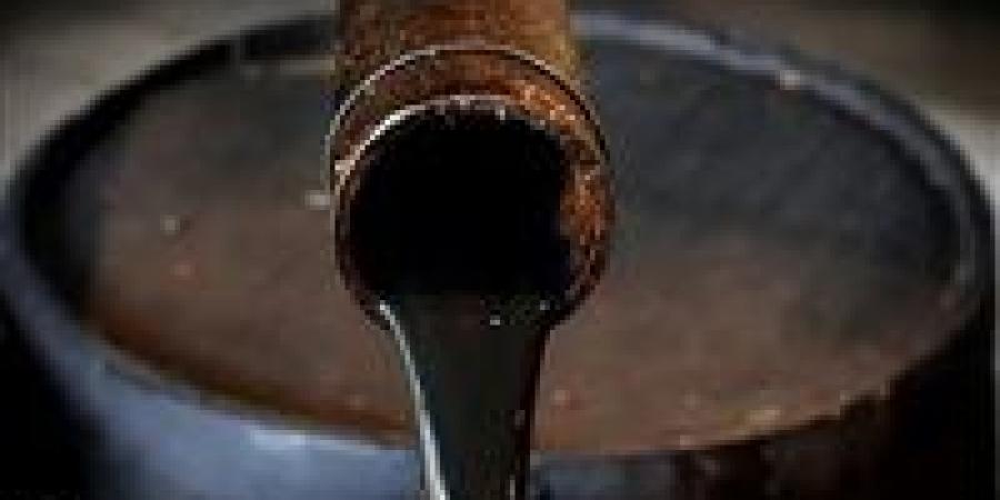 النفط
      يخسر
      6%
      للأسبوع
      الثاني|
      برنت
      عند
      76.4
      دولار
      وتراجع
      عالمي
      بفعل
      التوترات
      التجارية