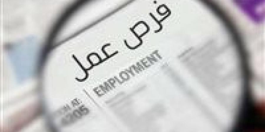 وزارة
      العمل
      تطلق
      مبادرة
      توظيف
      في
      لبنان
      براتب
      500
      دولار
      وفرص
      متميزة