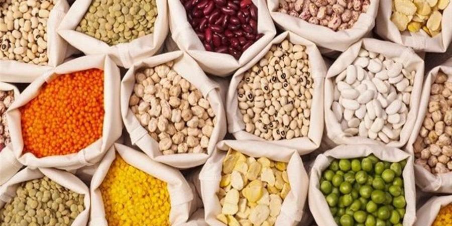 أسعار
      البقوليات
      بمحافظة
      الغربية
      اليوم
      الثلاثاء
      14
      أكتوبر
      2025