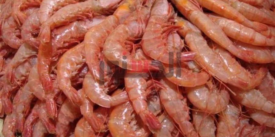 أسعار
      بيع
      الجمبري
      والمأكولات
      البحرية
      داخل
      أسواق
      محافظة
      الغربية