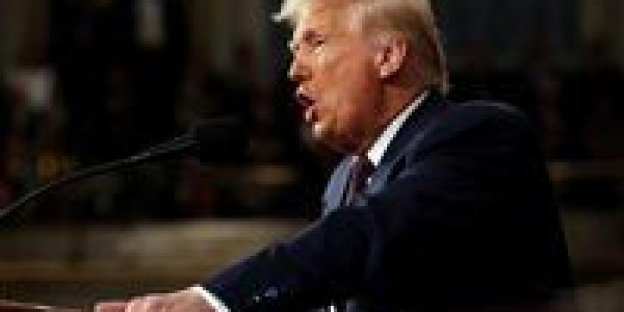 ترامب:
      تحدثت
      إلى
      حماس
      ونزع
      سلاحها
      سيحدث
      بسرعة
      وربما
      بعنف
