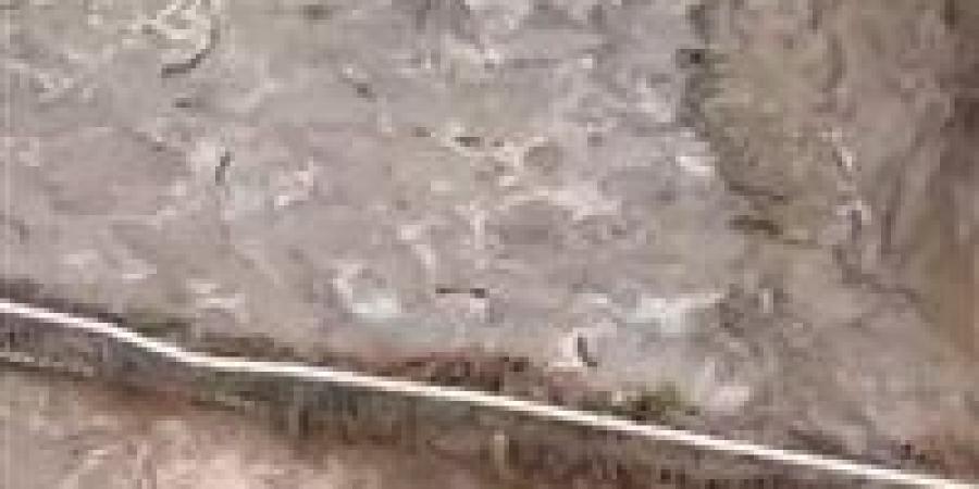 فيضانات
      جنوب
      غربي
      الولايات
      المتحدة
      بعد
      أمطار
      قياسية
      خلال
      24
      ساعة