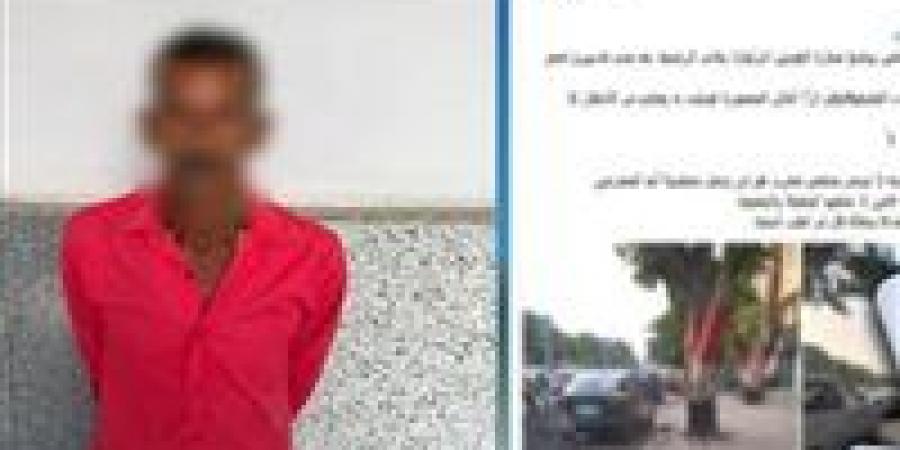 تفاصيل
      وضع
      أحجار
      بمحيط
      ماسبيرو
      من
      قبل
      سايس
      ومنع
      السيارات
      من
      الاصطفاف