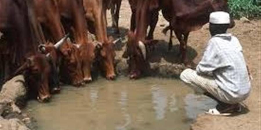 انتشار
      الحمى
      النزفية
      وأمراض
      تنفسية
      يهدد
      قطاع
      الثروة
      الحيوانية
      في
      السودان
