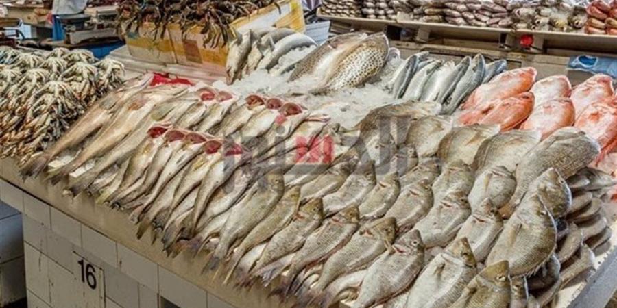 أسعار
      الأسماك
      اليوم
      الأحد
      19
      أكتوبر
      2025
      بمحافظة
      الغربية