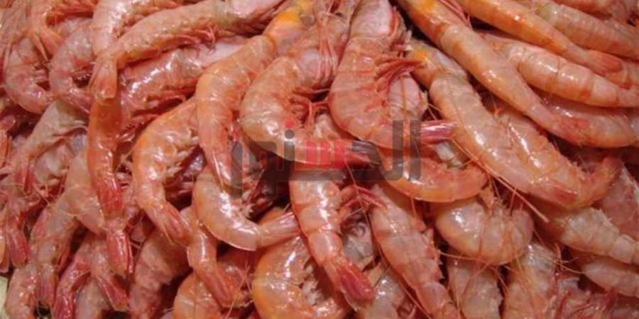 أسعار
      الجمبري
      والمأكولات
      البحرية
      بالغربية
      اليوم
      الأحد
      19
      أكتوبر
      2025