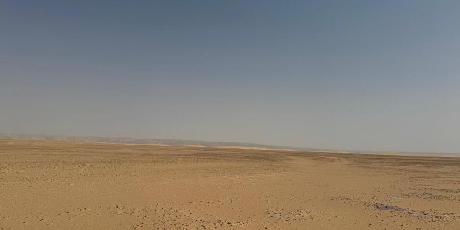 320
      ألف
      فدان..
      بحوث
      الصحراء
      يطلق
      خطة
      لحصر
      أراضي
      توشكى