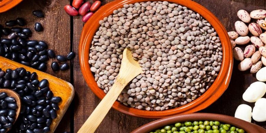 اعرف
      أسعار
      البقوليات
      اليوم
      في
      أسواق
      الدقهلية