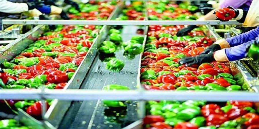 "الرؤى
      المستقبلية
      وتحديات
      التصنيع
      الغذائي"..
      ندوة
      علمية
      بزراعة
      عين
      شمس