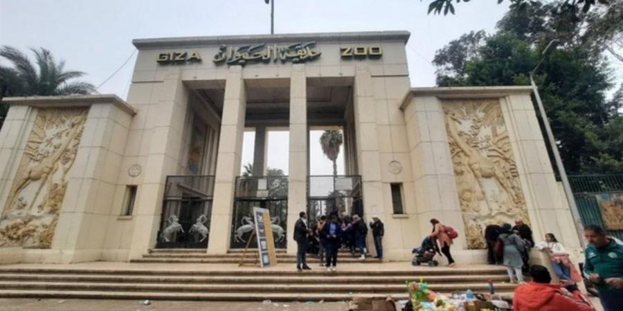 حقيقة
      فيديو
      هروب
      زرافة
      وغرقها
      في
      النيل..
      حديقة
      الحيوان
      بالجيزة
      تكشف
      التفاصيل