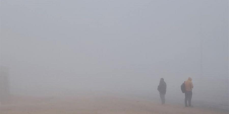 "الأرصاد:
      تحذر
      من
      شبورة
      مائية
      كثيفة
      صباح
      غد
      على
      الطرق
      الزراعية