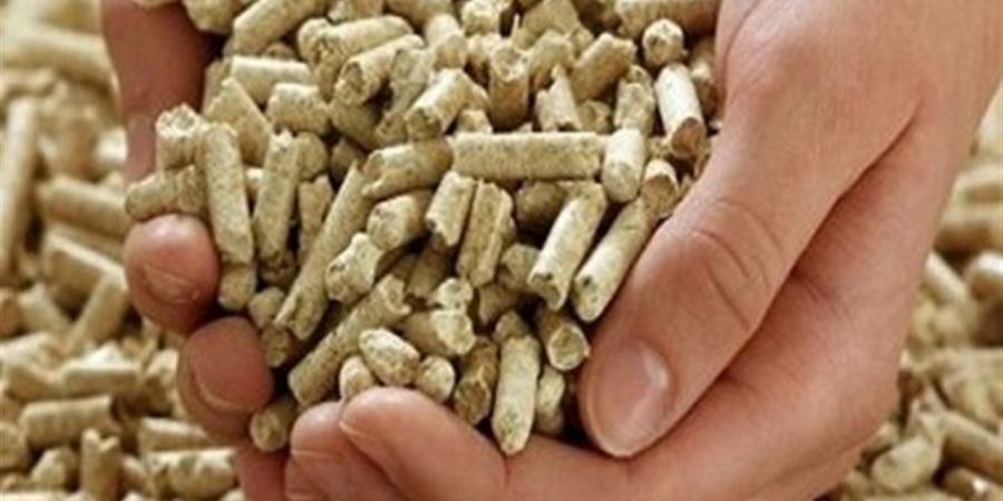 أسعار
      الحبوب
      والأعلاف
      في
      الغربية
      اليوم
      الجمعة
      24
      أكتوبر
      2025