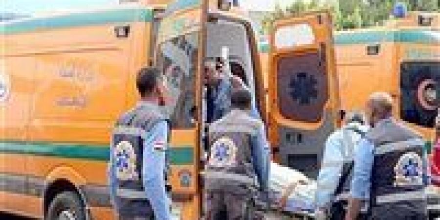 مصرع
      شاب
      وإصابة
      شقيقه
      في
      حادث
      تصادم
      بالمنوفية