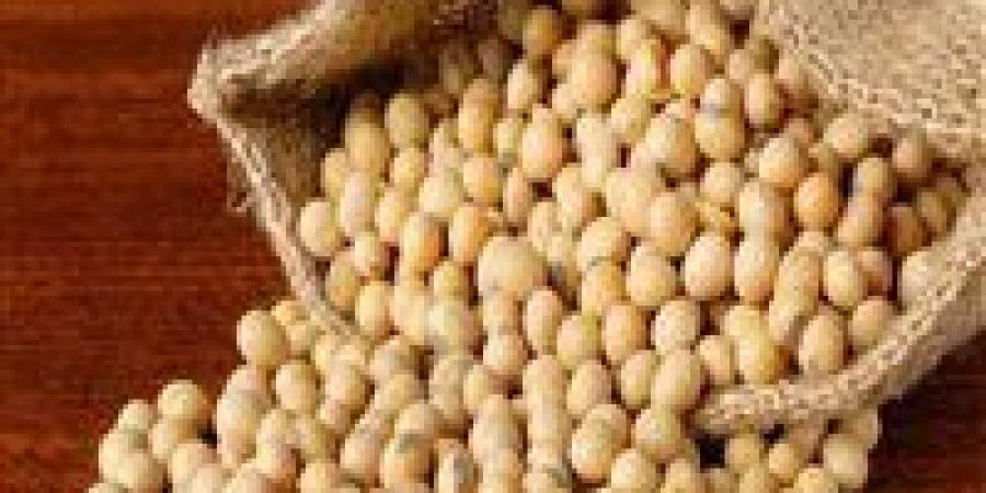 وزير
      الخزانة
      الأمريكي:
      الصين
      تتعهد
      بشراء
      كميات
      كبيرة
      من
      فول
      الصويا
      الأمريكي