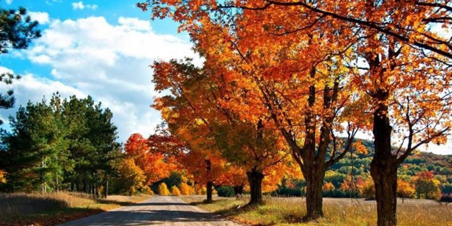 طقس
      اليوم..
      الخريف
      يفرض
      نفسه
      ودرجات
      الحرارة
      "خادعة"
      ليلا