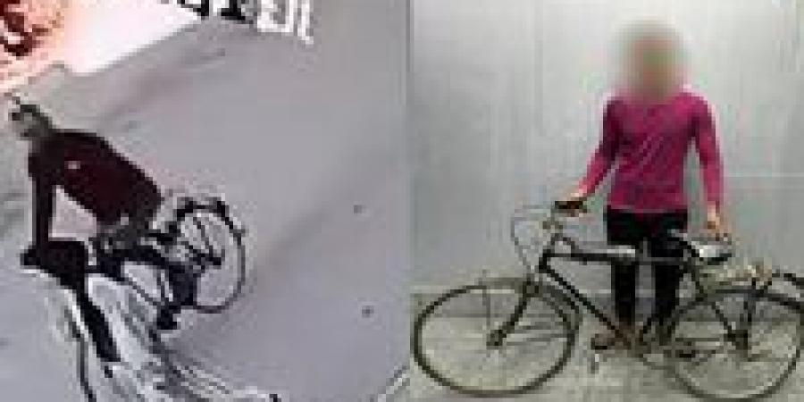 بواسطة
      دراجة
      هوائية..
      ضبط
      المتهم
      بسرقة
      هاتف
      فتاة
      في
      الإسماعيلية