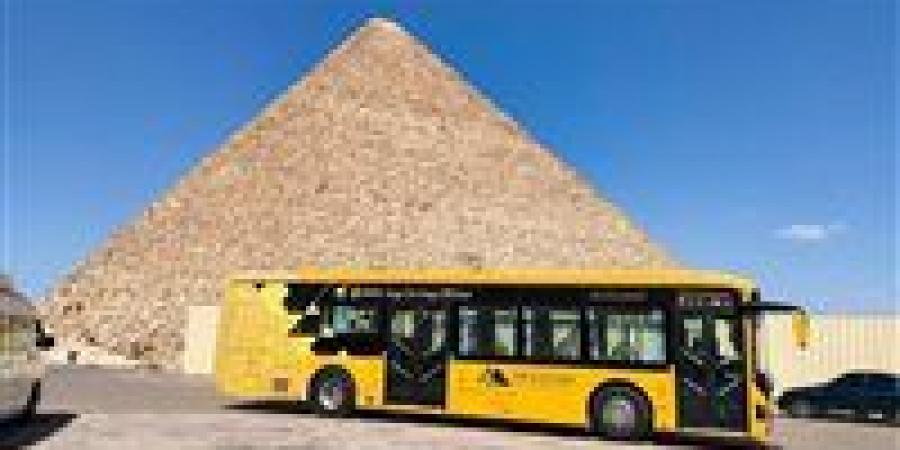 توفير
      أتوبيسات
      كهربائية
      صديقة
      للبيئة
      لنقل
      الزوار..
      تطوير
      شامل
      لمنطقة
      الأهرامات