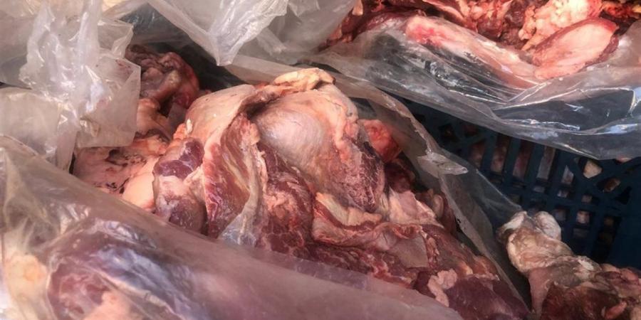 ضبط
      400
      كجم
      لحوم
      فاسدة
      خلال
      حملات
      تموينية
      بالإسكندرية