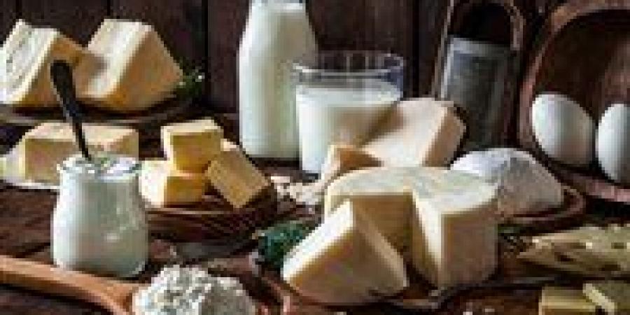 هل
      ترتفع
      أسعار
      الألبان
      في
      الشتاء؟..
      شعبة
      المواد
      الغذائية
      تجيب