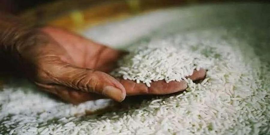 أسعار
      الأرز
      الشعير
      اليوم
      في
      الأسواق
      والمضارب