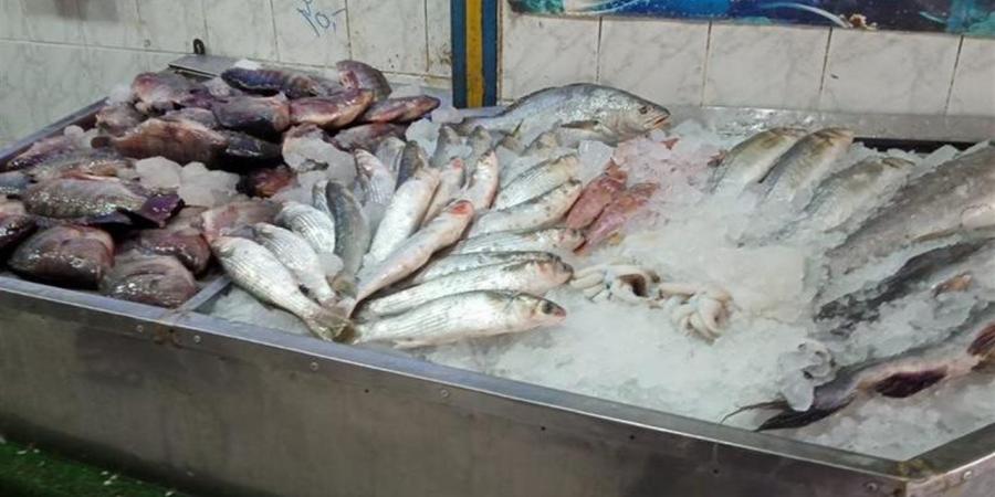 قوائم
      الفترة
      المسائية
      لأقل
      الأسماك
      سعرا
      في
      سوق
      العبور
      اليوم
      الخميس