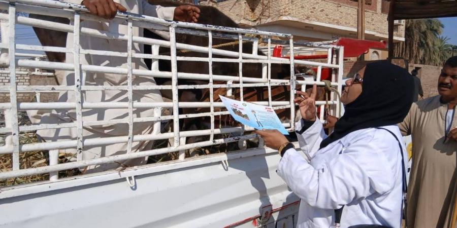 الزراعة:
      2800
      ندوة
      توعوية
      لانطلاق
      الحملة
      القومية
      للتحصين
      ضد
      الأمراض
      الوبائية