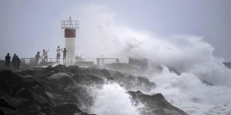 مع
      استمرار
      الكارثة
      بالكاريبي..
      ارتفاع
      حصيلة
      ضحايا
      إعصار
      "ميليسا"
      إلى
      49
      شخصًا