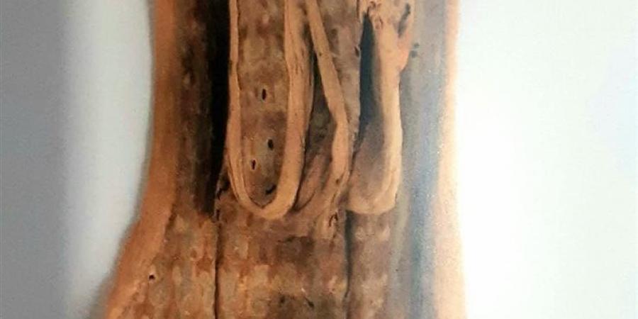 قفازات
      الملك
      الذهبي
      تظهر
      لأول
      مرة
      بعد
      الترميم
      بالمتحف
      المصري
      الكبير
      (صور)